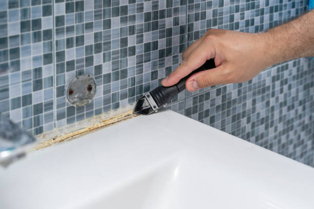 Best Localized Mold Remediation (e.g., coastal areas, humid climates) in Lincoln Beach, OR